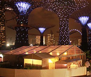 NYI-A-Shape-Aluminum-Tent-20mWa