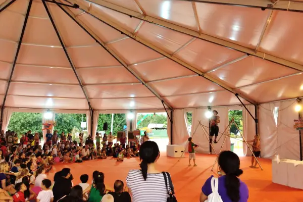 Wooden deck with carpet